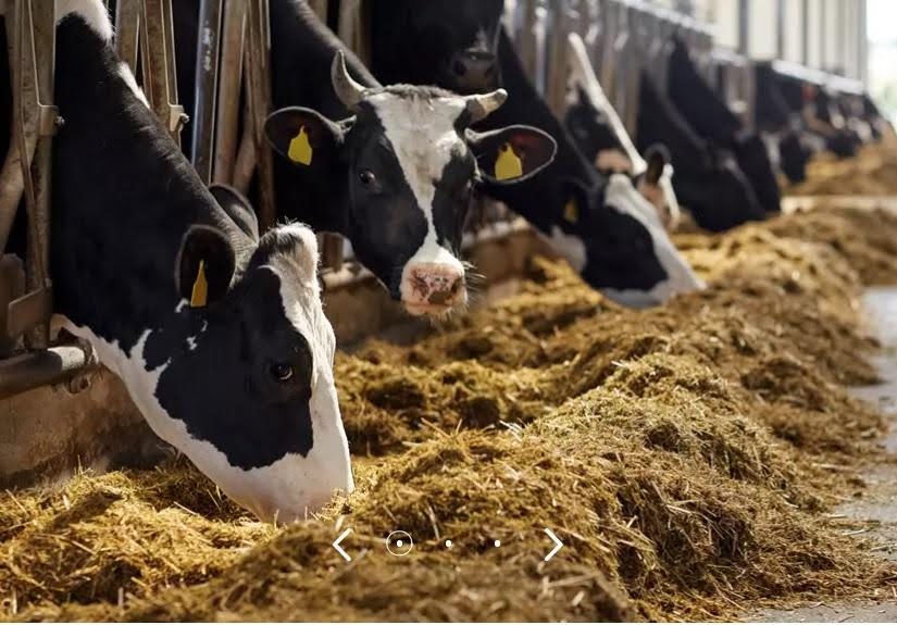 AFgXFlLc3WtXCESJsRUkvafc2JOUqeVj8yEXA49Gq1qb61rfwWPDtIvxSiEcZa3X9LlsPCvmpPKDok0I50XKbOWjw4XPAoWrX3G5LhAA4tCyvxWZRn9r35SRYA=s0